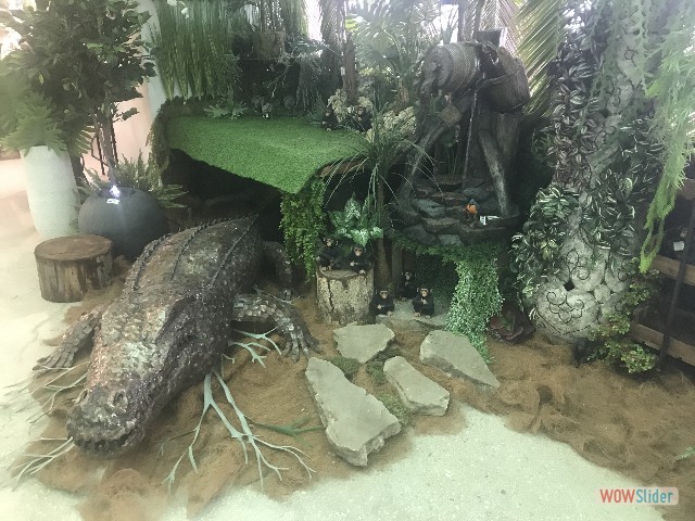 507_Crocodile