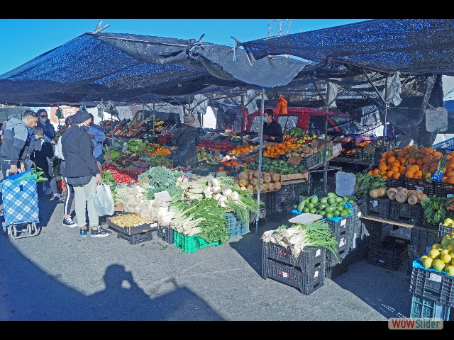 117_Le marché de Fuengirola