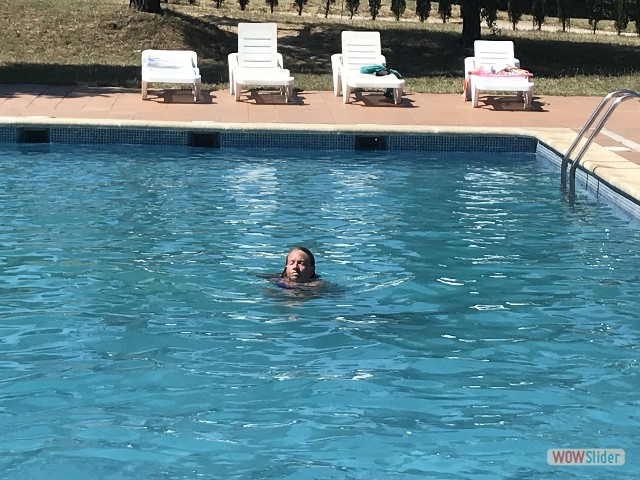 1162_La Jonquera:Capmany, Camping L'Albera