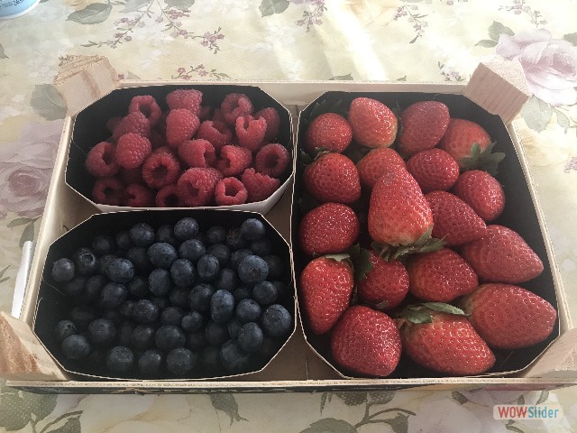 35_Plat de fruits 35_Plat de fruits