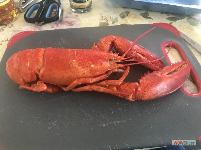 19_Miam miam homard 19_Miam miam homard