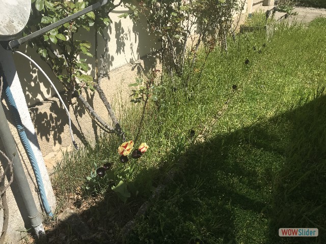 14_Maison 14_Maison