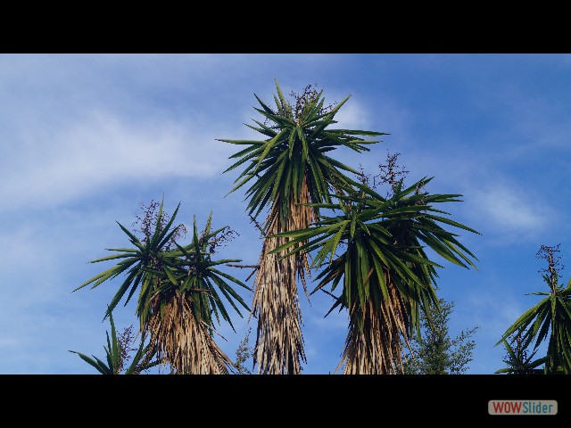 62_Cabopino, il fait beau