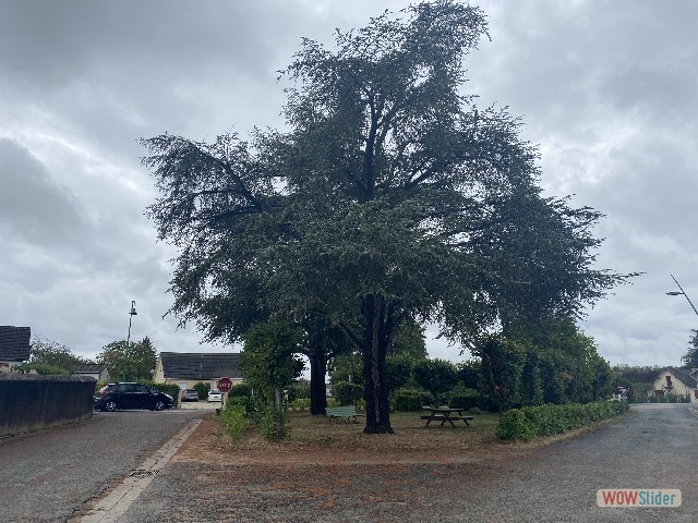 19_Thiel-sur-Acolin 19_Thiel-sur-Acolin