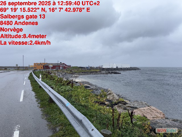 38_Andenes 38_Andenes