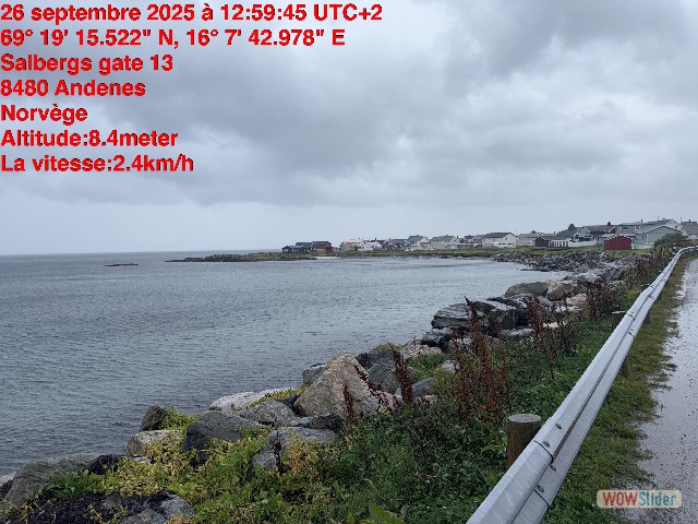 39_Andenes 39_Andenes