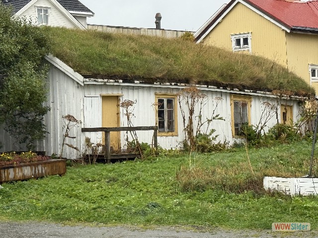 41_Andenes 41_Andenes