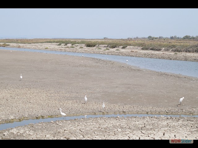 114_Les Saintes-Maries-de-la-Mer