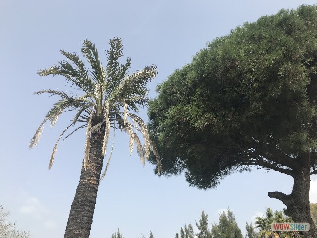 280_À coté de chez le vétirinaire