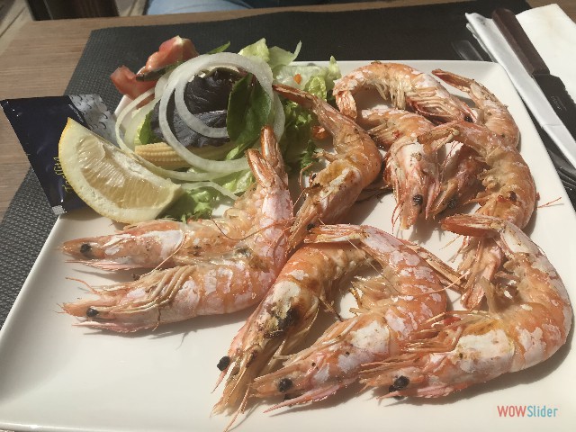 389_Indy's Beach. miam miam