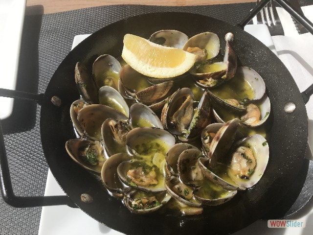 390_Indy's Beach. miam miam