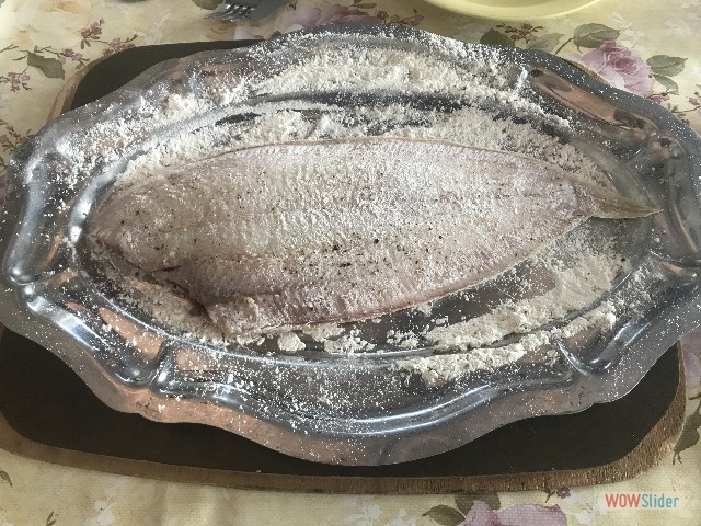 347_Sole 347_Sole