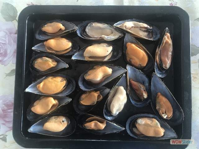 354_Moules farcies 354_Moules farcies