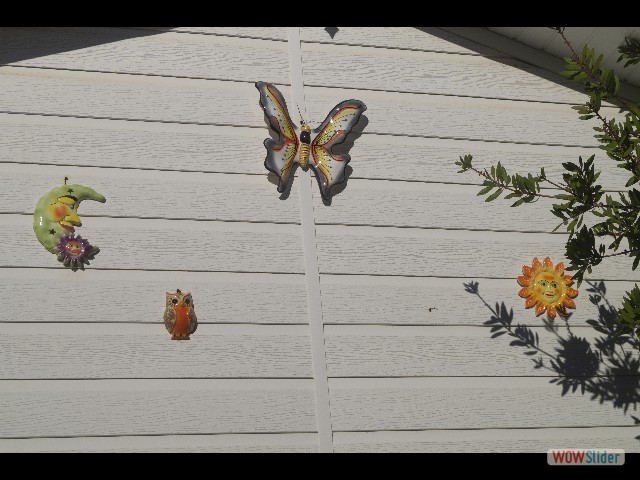 364_Mignon 364_Mignon
