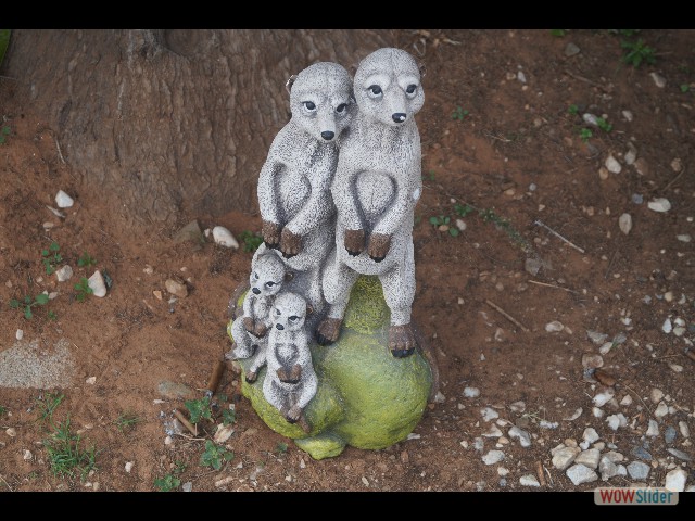 375_Mignon tout plein 375_Mignon tout plein