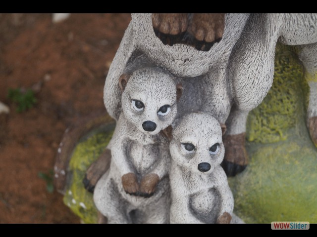 378_Mignon tout plein 378_Mignon tout plein