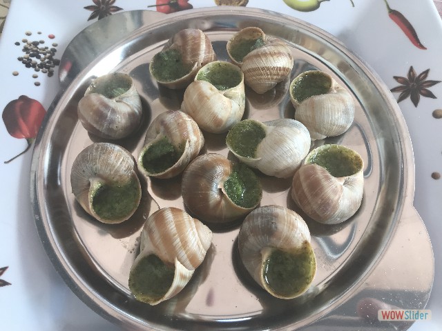 481_Bon appêtit