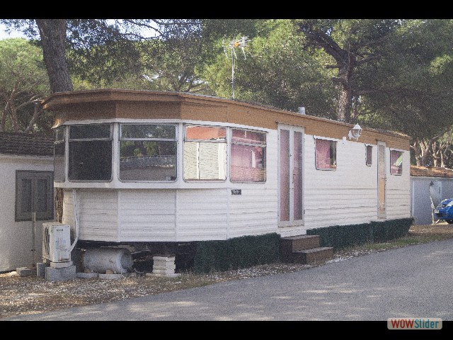 503_C'est mignon tout plein