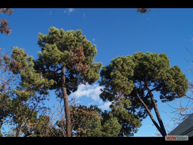 71_Beau ciel bleu 71_Beau ciel bleu