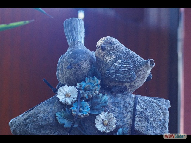 218_Mignon 218_Mignon