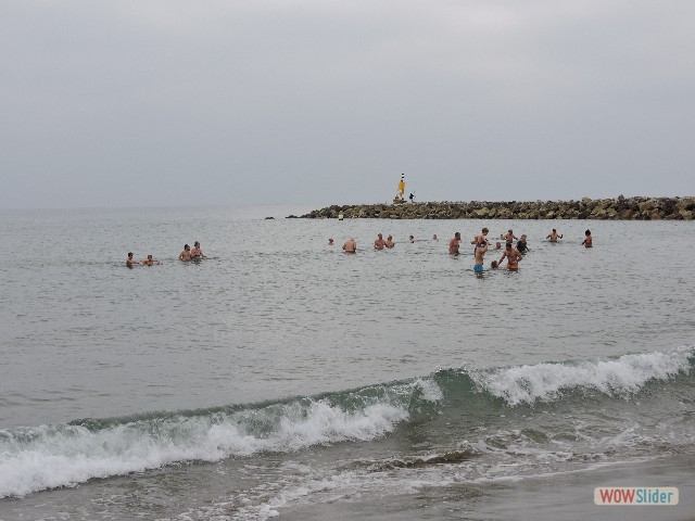 238_Baignade de premier de l'An 238_Baignade de premier de l'An