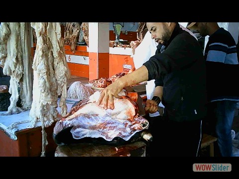 53_Souk Sidi Bibi 53_Souk Sidi Bibi