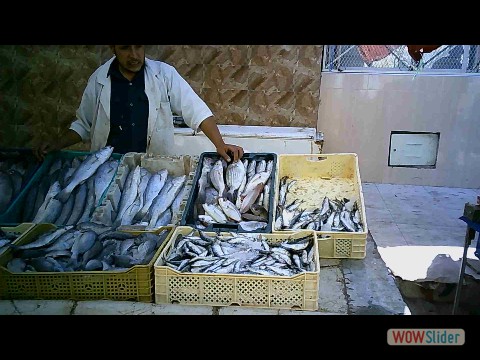61_Souk Sidi Bibi 61_Souk Sidi Bibi
