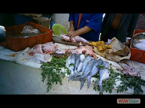 67_Souk Sidi Bibi 67_Souk Sidi Bibi