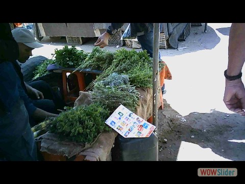 72_Souk Sidi Bibi 72_Souk Sidi Bibi