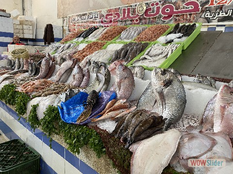 9_Le marché de poissons à Agadir 9_Le marché de poissons à Agadir