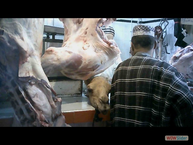 15_Marché central Inezgane