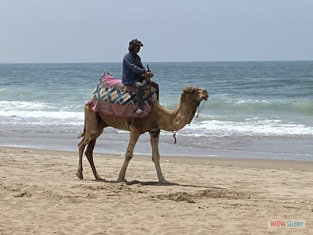 28_Tifnit, plage