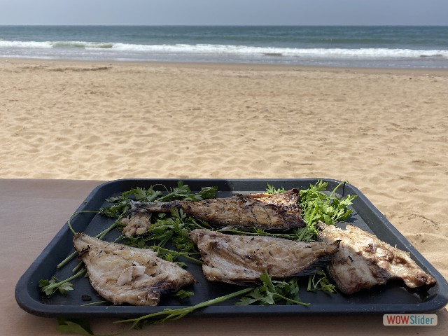 47_Tifnit, plage, chez Maxime