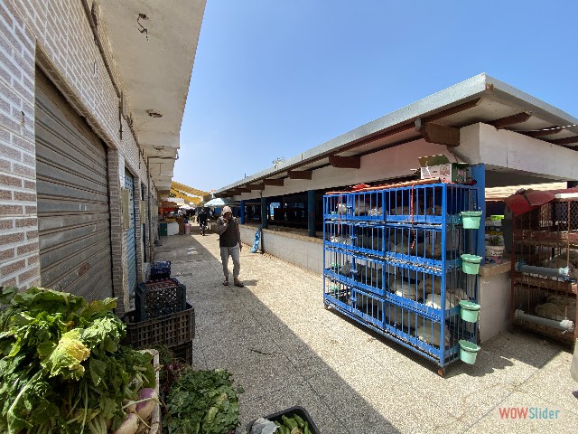 79_Poissonnerie marché central Sidi Ifni 79_Poissonnerie marché central Sidi Ifni