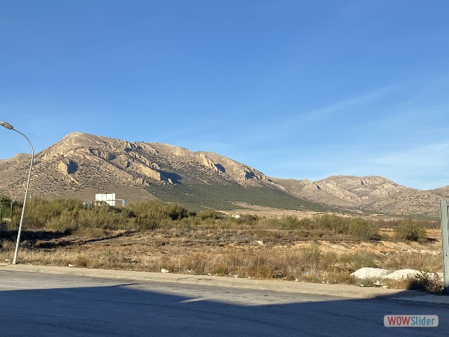 32_Chirivel 32_Chirivel