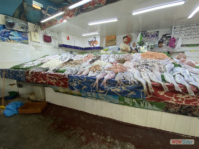 14_Kénitra, marché aux poissons 14_Kénitra, marché aux poissons