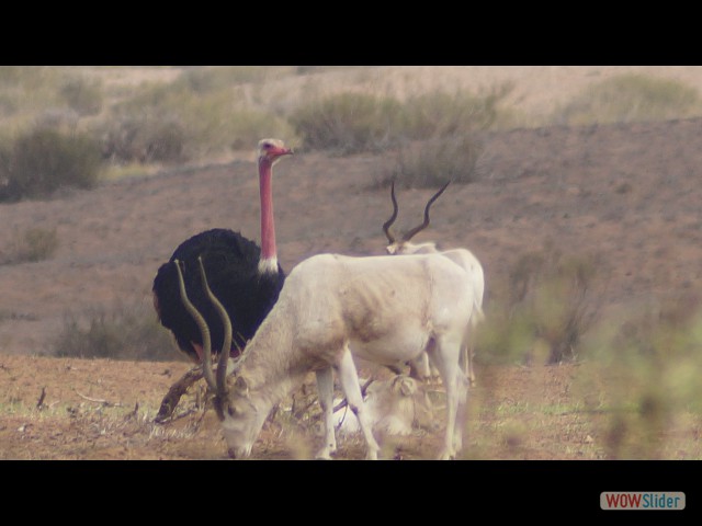 25_Parc Souss Massa 25_Parc Souss Massa