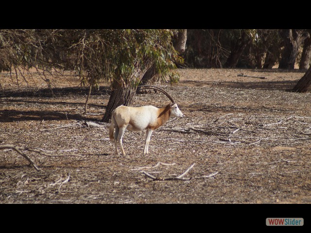 31_Parc Souss Massa 31_Parc Souss Massa