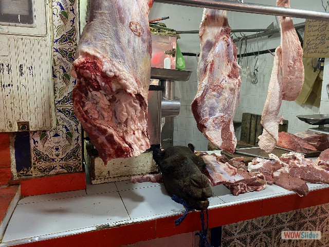 48_Boucherie dromadaire souk Inezgane 48_Boucherie dromadaire souk Inezgane