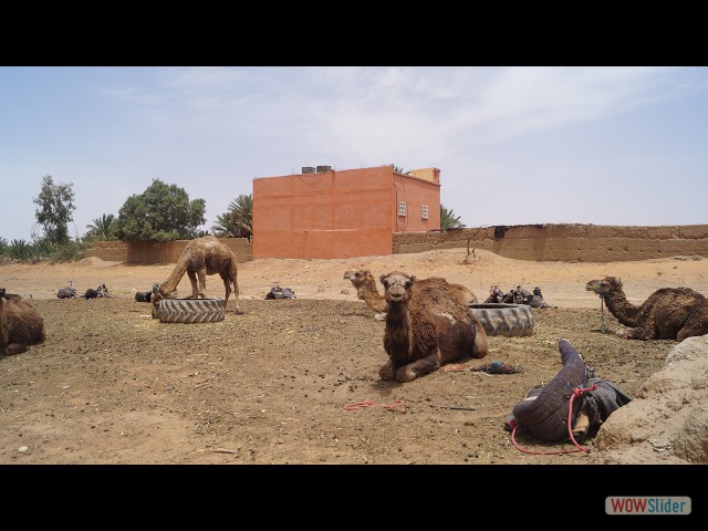 10a_Merzouga