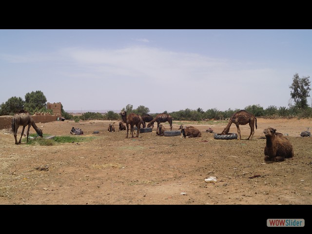 10b_Merzouga