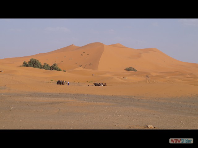 10f_Merzouga