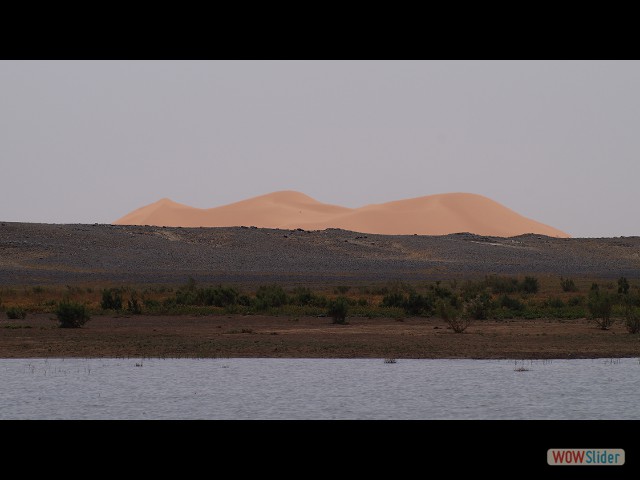 20a_Merzouga, le lac