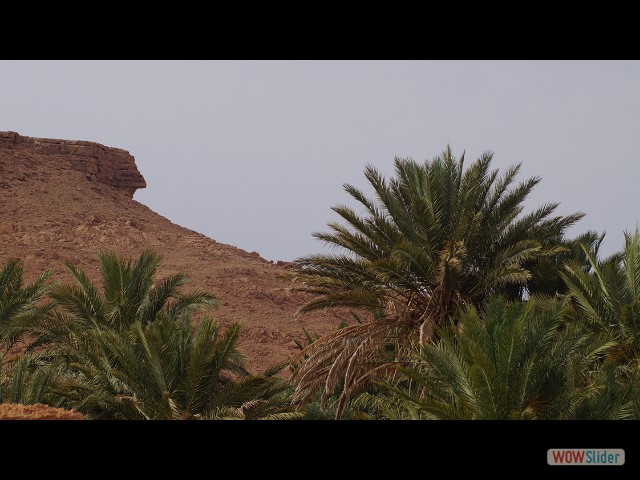 71_Aoufous, camping Hakkou