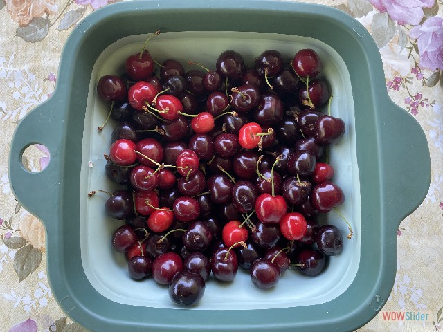 82_Azrou, de bonnes cerises