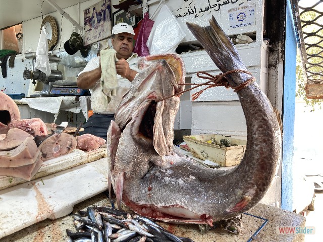 51_Kénitra, Marché aux poissons