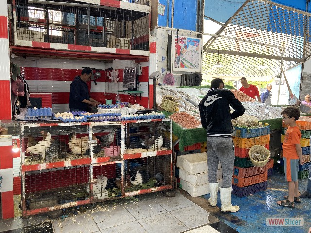 52_Kénitra, Marché aux poissons
