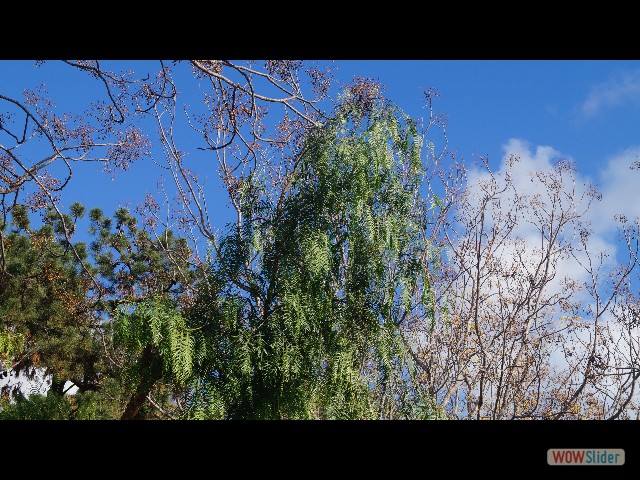 25_Il fait beau 25_Il fait beau