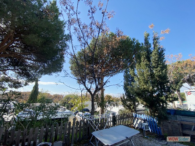 34_Cabopino 34_Cabopino