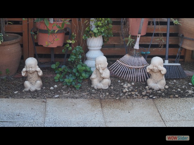 2_Cabopino, mignon